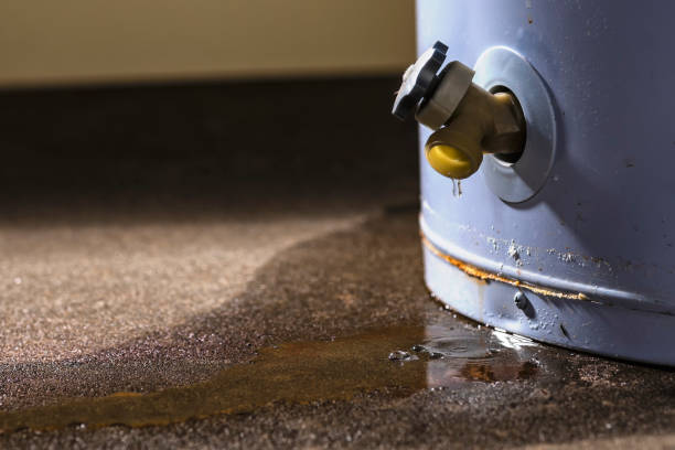 Best Ceiling water damage repair  in Lincoln, ND