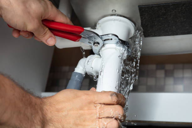 Best Water damage cleanup near me  in Lincoln, ND