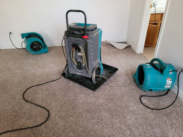 Best Water damage restoration near me  in Lincoln, ND