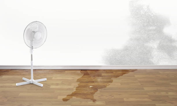 Water damage restoration experts in Lincoln, ND