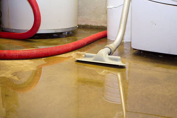 Best Local water damage restoration  in Lincoln, ND